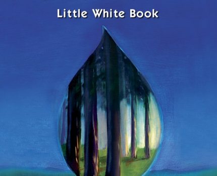 The Tarot of Creativity Little White Book