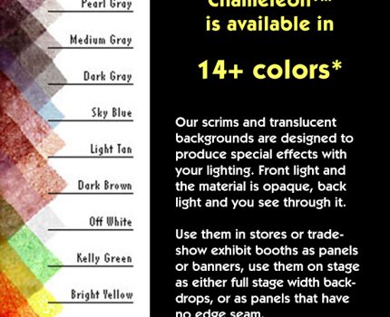 Color Variations Infographic